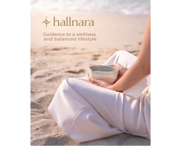 Hallnara Small Festive Bow Set